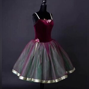 Absolutely gorgeous dance dress size Adult medium